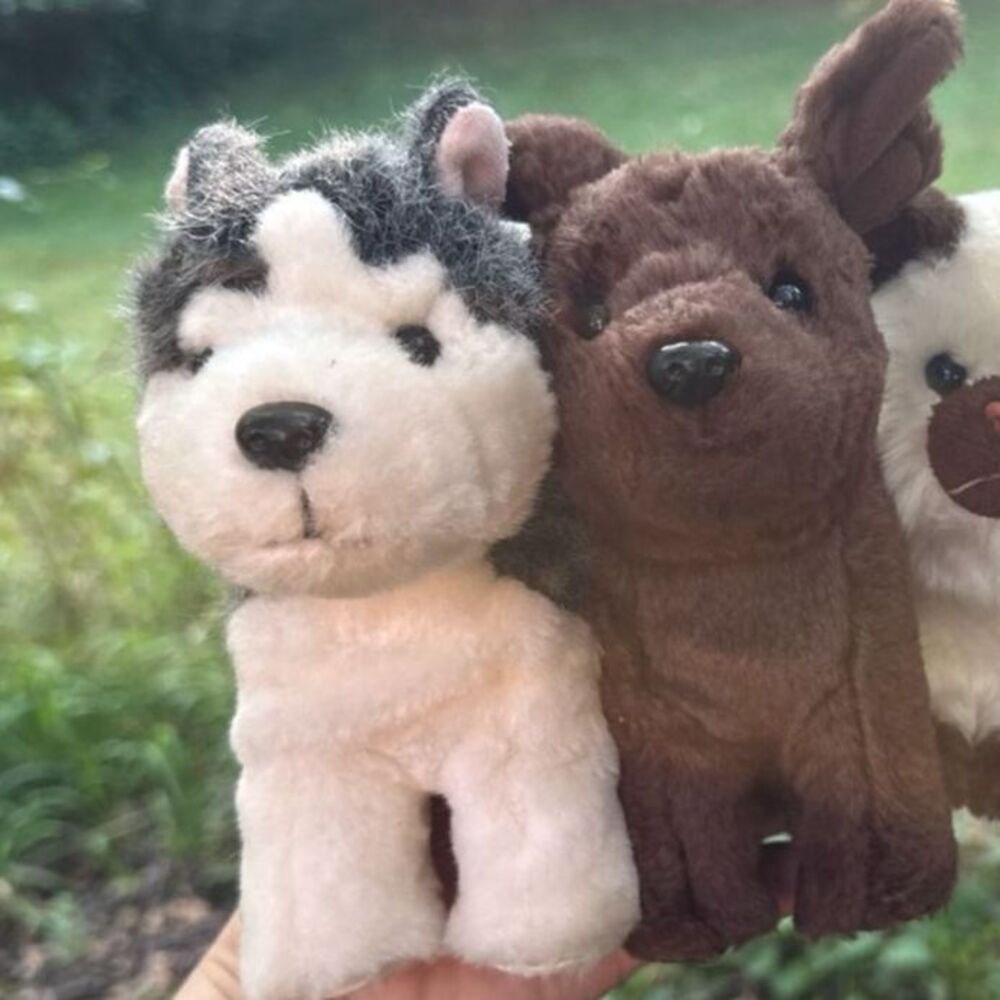 American Girl Pets Lot 2 Posable Dogs Stuffed Plush Husky Brown Lab Toy